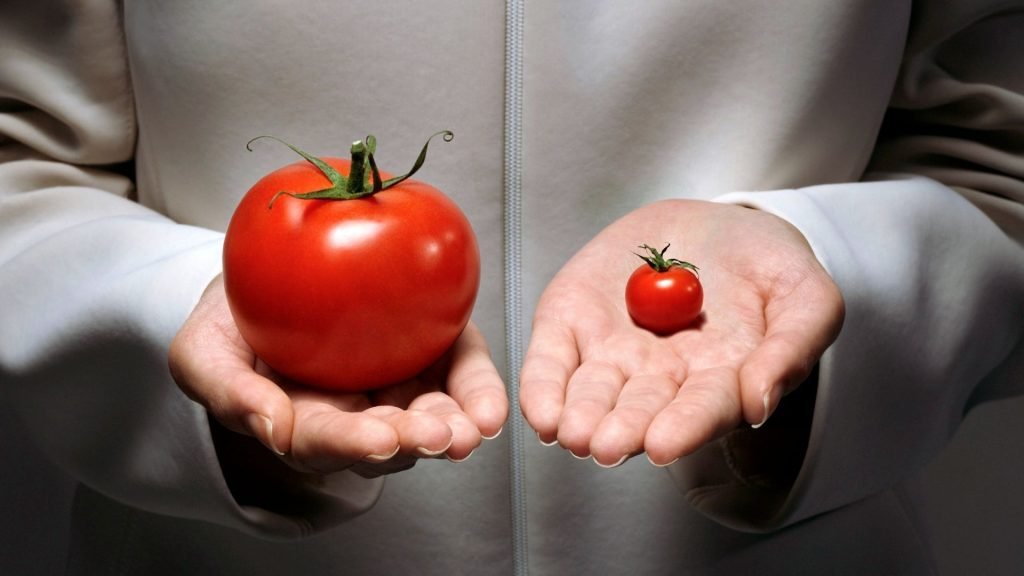 Inpatient vs. Outpatient Treatment for Drug Addiction