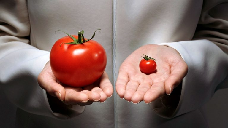 Inpatient vs. Outpatient Treatment for Drug Addiction