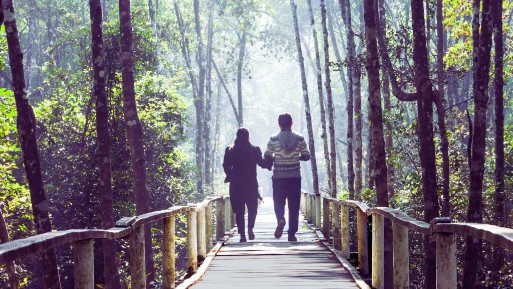 Opioid Detox What to Expect, How Long It Takes, and Why It Matters