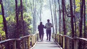 Opioid Detox What to Expect, How Long It Takes, and Why It Matters