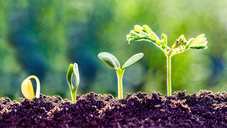 Stages of Change in Recovery Steps to Addiction Recovery