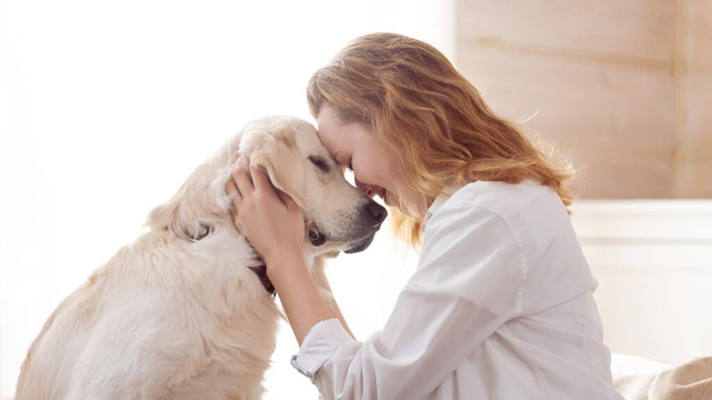 Pet Friendly Luxury Rehab Los Angeles