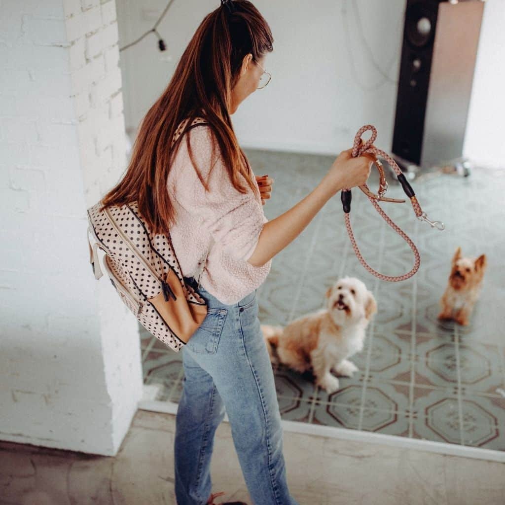 Woman Prepares for Pet Friendly Luxury Rehab Program in Los Angeles