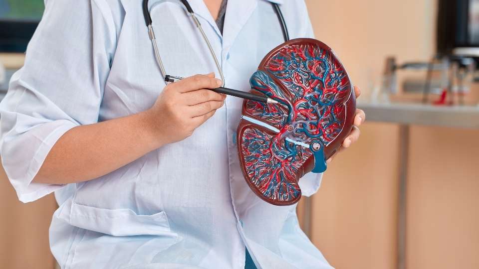 How to Detox Your Liver From Alcohol: Proven Habits That Restore Liver Health 1 a clinician explains How to Detox Your Liver From Alcohol