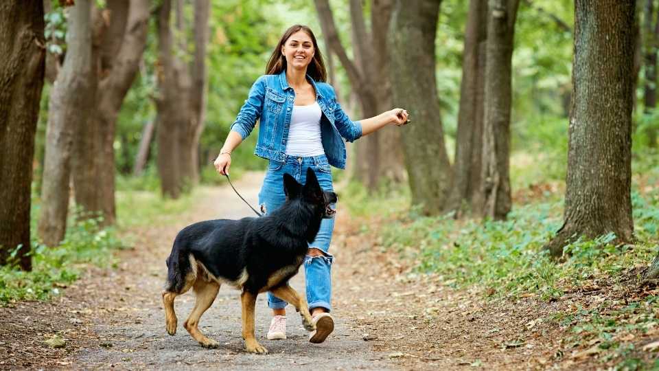 How Does Being Outside Improve Mental Health It can have powerful therapeutic effects for those struggling with addiction.