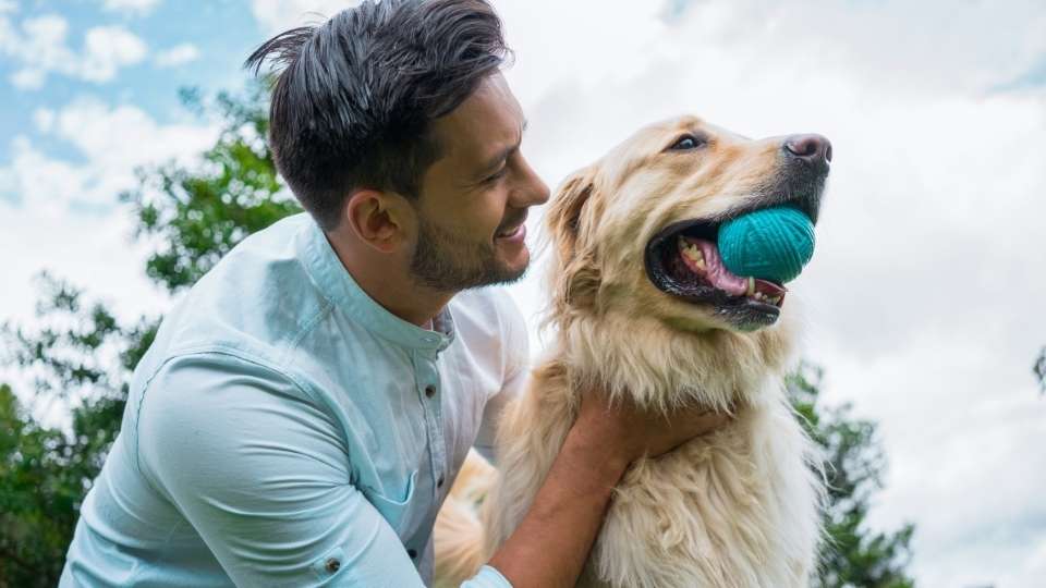 What Makes Luxury Rehab Different some centers let you bring your pets.